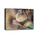 Close Up Mushroom Abstract Mini Canvas 7  x 5  (Stretched) View1