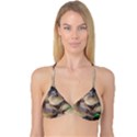 Close Up Mushroom Abstract Reversible Tri Bikini Top View1