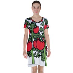 Tomato Garden Vine Plants Red Short Sleeve Nightdress by HermanTelo