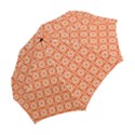 DF Union Valenti Folding Umbrellas View2