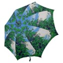 Drawing of A Summer Day Hook Handle Umbrellas (Small) View2
