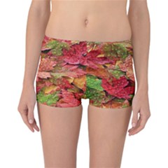 Spring Leafs Reversible Boyleg Bikini Bottoms by Sparkle