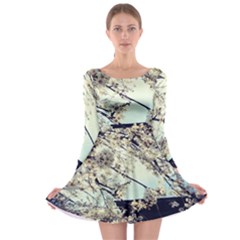 Plum Blossoms Long Sleeve Skater Dress by okhismakingart