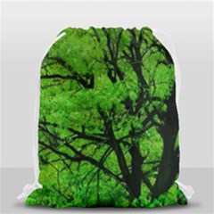Big Trees, El Leoncito National Park, San Juan, Argentina Drawstring Bag (small) by dflcprintsclothing