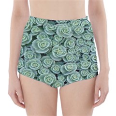 Realflowers High-waisted Bikini Bottoms by Sparkle