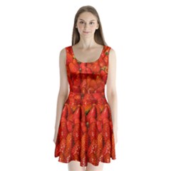 Colorful Strawberries At Market Display 1 Split Back Mini Dress  by dflcprintsclothing