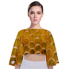 Hexagon Windows Tie Back Butterfly Sleeve Chiffon Top by essentialimage