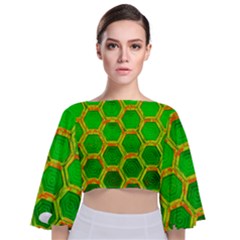 Hexagon Window Tie Back Butterfly Sleeve Chiffon Top by essentialimage365
