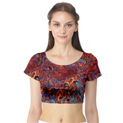 Phoenix In The Rain Abstract Pattern Short Sleeve Crop Top by CrypticFragmentsDesign