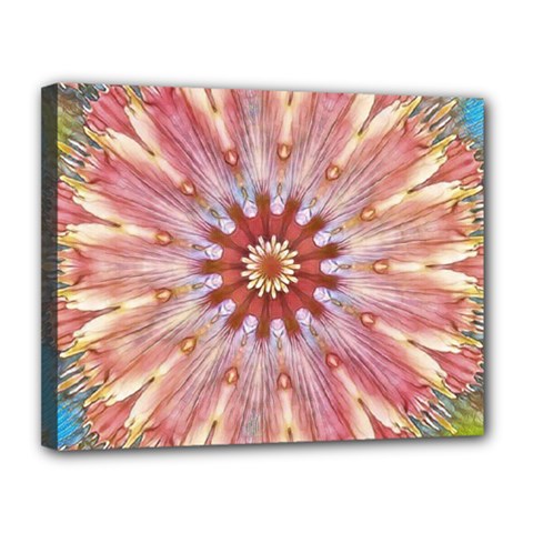 Pink Beauty 1 Canvas 14  X 11  (stretched) by LW41021