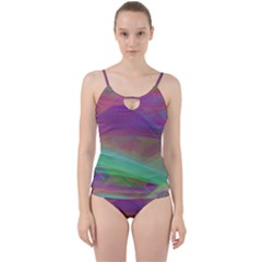 Color Winds Cut Out Top Tankini Set by LW41021