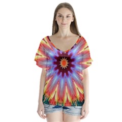 Passion Flower V-neck Flutter Sleeve Top by LW323