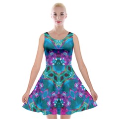 Peacock2 Velvet Skater Dress by LW323