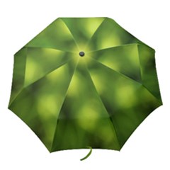 Green Vibrant Abstract No3 Folding Umbrellas by DimitriosArt