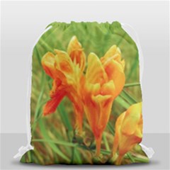 Orange On The Green Drawstring Bag (small) by DimitriosArt