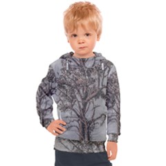 Big Tree Photo Illustration Kids  Hooded Pullover by dflcprintsclothing