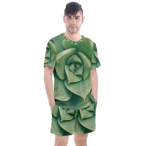Echeveria Imbricata Closeup Photo Men s Mesh Tee And Shorts Set by dflcprintsclothing