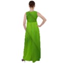 Banana Leaf Empire Waist Velour Maxi Dress View2