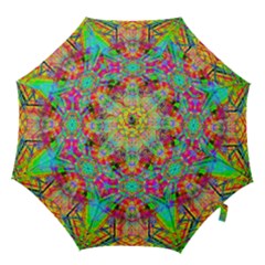 Terrestrial Burst Hook Handle Umbrellas (small) by Thespacecampers
