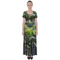 Bitter Melon High Waist Short Sleeve Maxi Dress by artworkshop