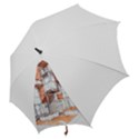 Rag-flats-onion-flats-llc-architecture-drawing Graffiti-architecture Hook Handle Umbrellas (Small) View2
