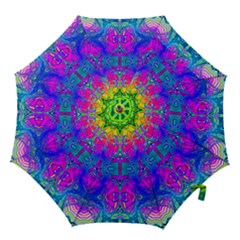 Liquidy Rainbow Hook Handle Umbrellas (small) by Thespacecampers