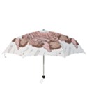 Cerebrum Human Structure Cartoon Human Brain Folding Umbrellas View3