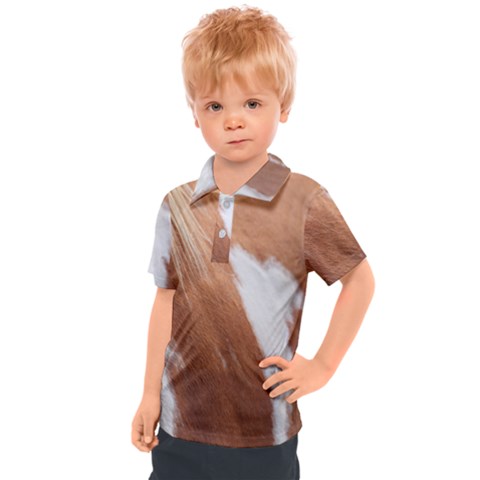 Horse Coat Animal Equine Kids  Polo Tee by artworkshop