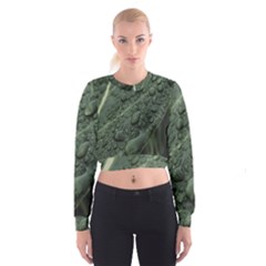 Leaves Water Drops Green  Cropped Sweatshirt by artworkshop