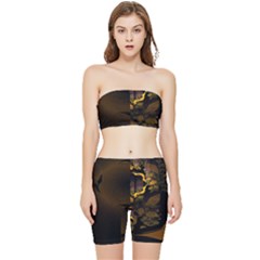 Photogenic Stretch Shorts And Tube Top Set by Sparkle