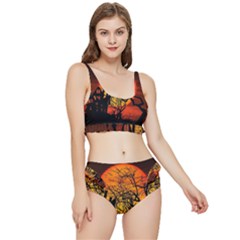 Night Full Moon Gespenstig Frilly Bikini Set by Wegoenart