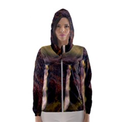 Waterfall Cascade Mountains Cliffs Northern Lights Women s Hooded Windbreaker by danenraven