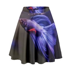 Betta Fish Photo And Wallpaper Cute Betta Fish Pictures High Waist Skirt by StoreofSuccess