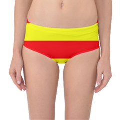 Aust Agder Flag Mid-waist Bikini Bottoms by tony4urban