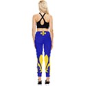 Ile De France Flag Pocket Leggings  View2