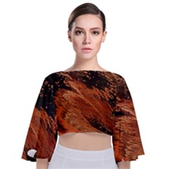 Painting Wallpaper Tie Back Butterfly Sleeve Chiffon Top by artworkshop