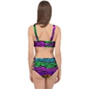 Colorful Zebra Cage Up Bikini Set View2