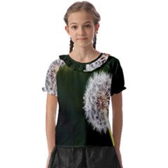 White Flower Kids  Frill Chiffon Blouse by artworkshop