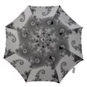 Apple Males Almond Bread Abstract Mathematics Hook Handle Umbrellas (Large) View1