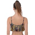 Rusty Orange Abstract Surface Frill Bikini Top View2