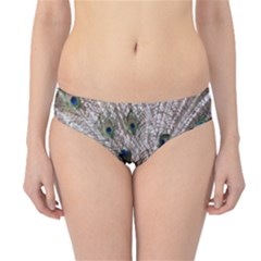 Peacock Bird Animal Feather Nature Colorful Hipster Bikini Bottoms by Ravend