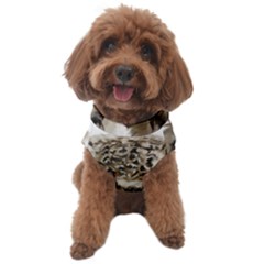 Vector Hand Painted Owl Dog Sweater by Mog4mog4