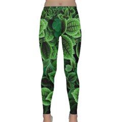 Shanghai Botanical Garden Lightweight Velour Classic Yoga Leggings by Cowasu