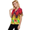 Color-background-structure-lines Bow Sleeve Button Up Top View2