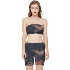 Fractal Digital Art Pattern Stretch Shorts And Tube Top Set by Grandong