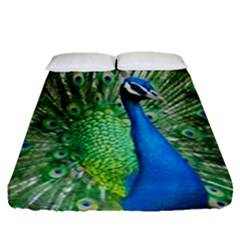 Peafowl Peacock Fitted Sheet (queen Size) by Sarkoni
