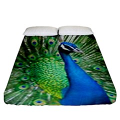 Peafowl Peacock Fitted Sheet (king Size) by Sarkoni