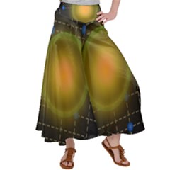 Technology System Women s Satin Palazzo Pants by Modalart