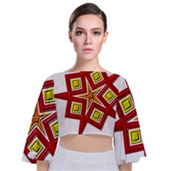 Pattern Tile Decorative Design Star Tie Back Butterfly Sleeve Chiffon Top by Hannah976