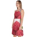 Fruit Healthy Vitamin Vegan Knee Length Skater Dress With Pockets View2